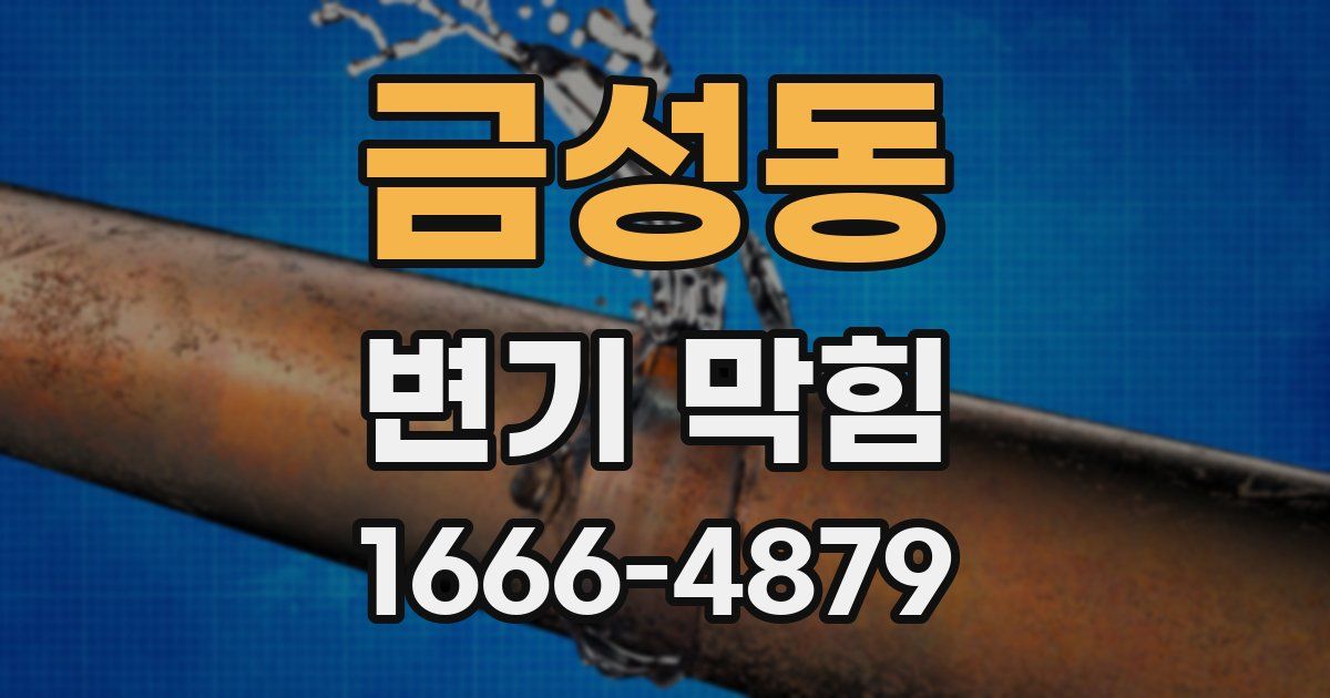 금성동 변기 막힘