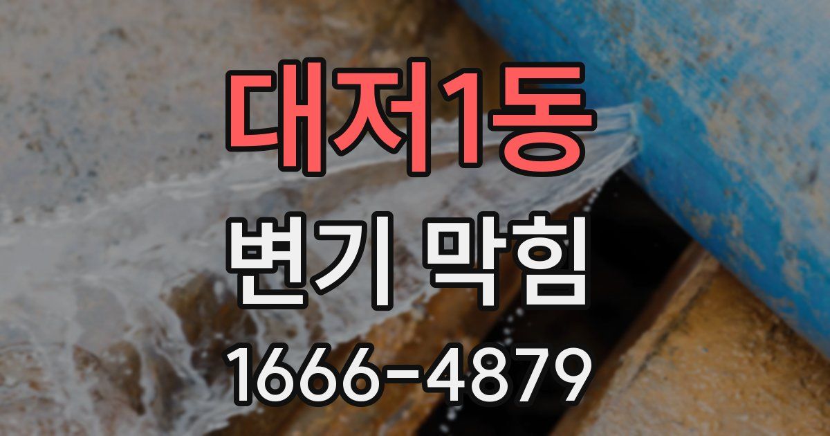 대저1동 변기 막힘