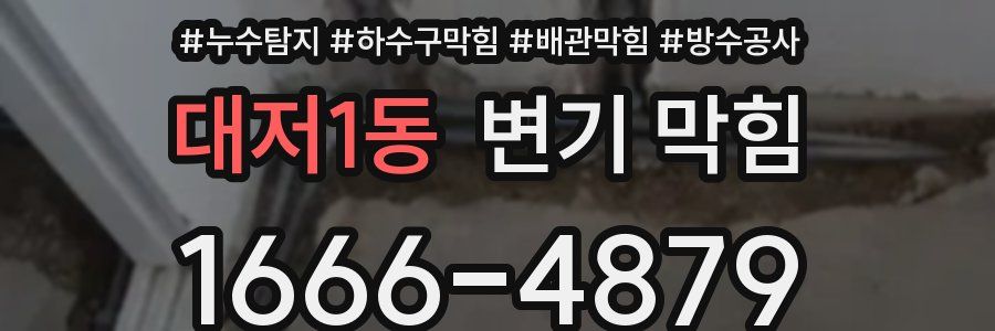 대저1동 변기 막힘