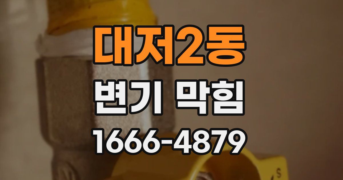 대저2동 변기 막힘