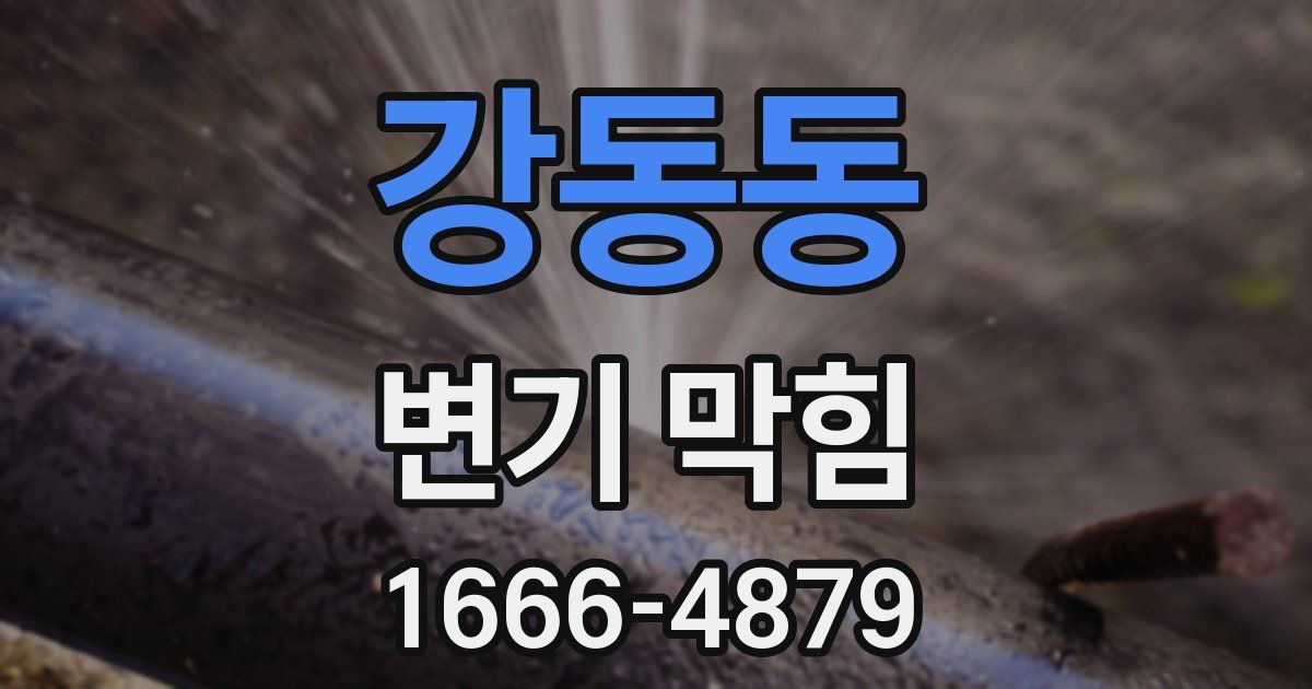 강동동 변기 막힘