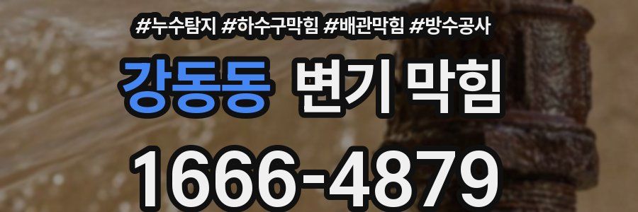 강동동 변기 막힘