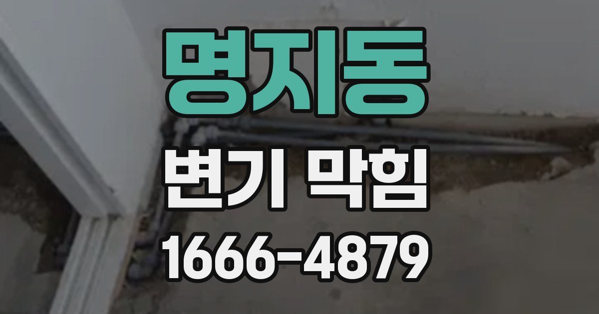 명지동 변기 막힘