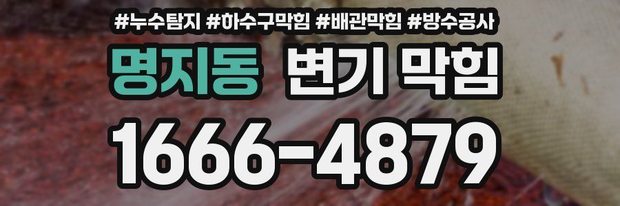 명지동 변기 막힘