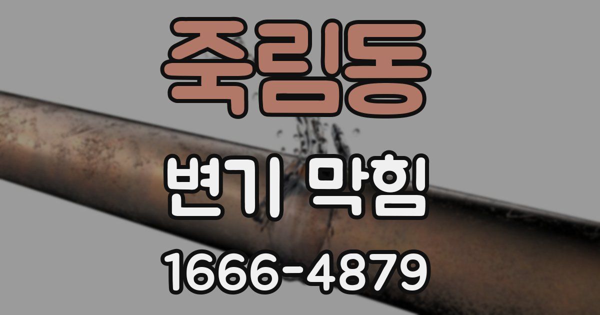 죽림동 변기 막힘