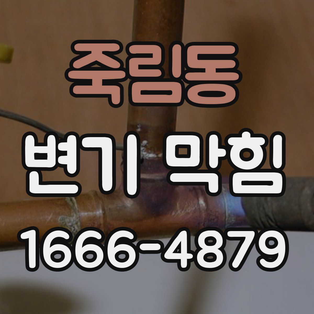 죽림동 변기 막힘