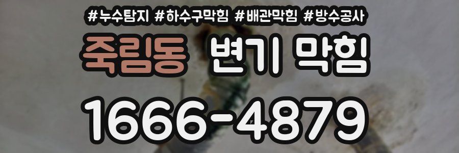 죽림동 변기 막힘