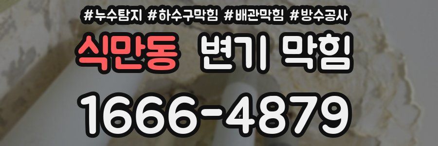 식만동 변기 막힘