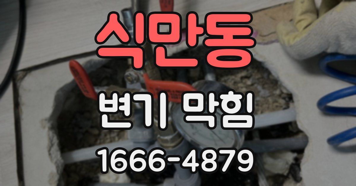 식만동 변기 막힘