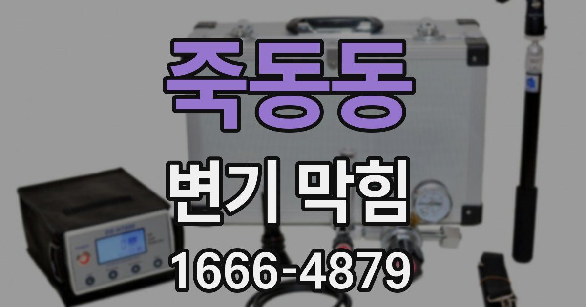 죽동동 변기 막힘
