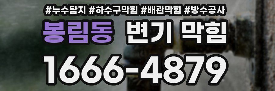 봉림동 변기 막힘