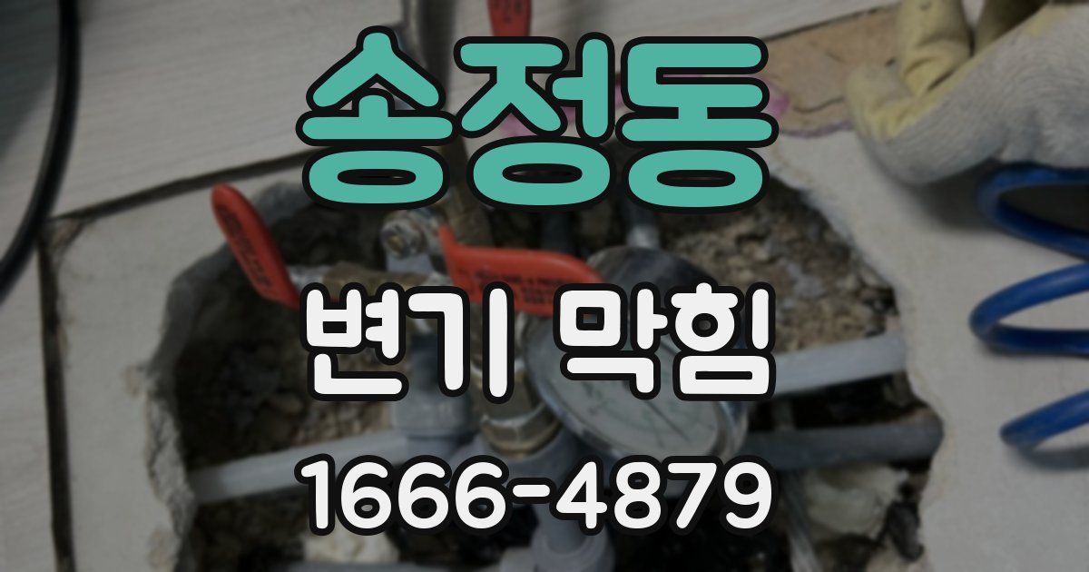 송정동 변기 막힘