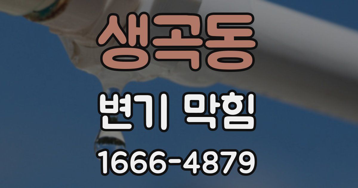 생곡동 변기 막힘