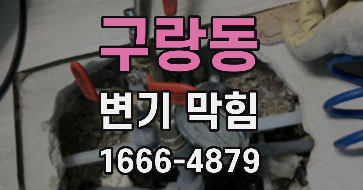 구랑동 변기 막힘