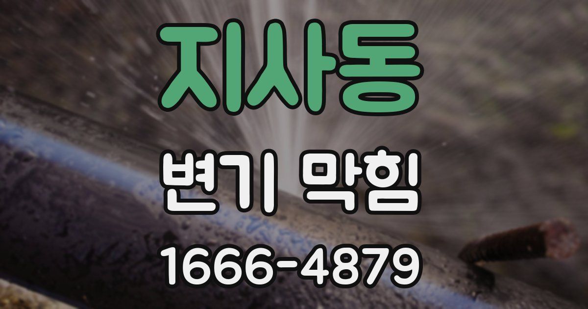 지사동 변기 막힘