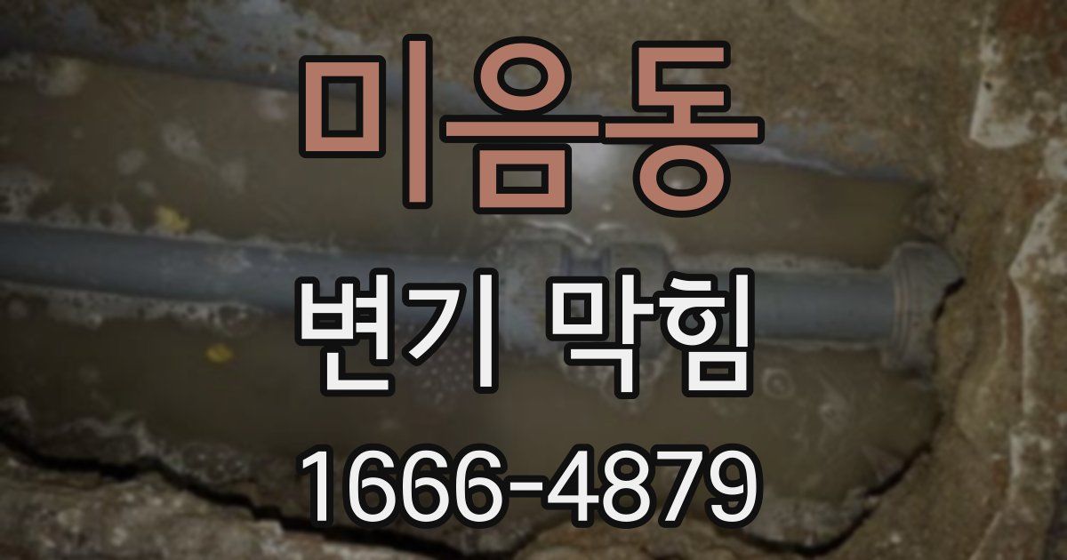 미음동 변기 막힘
