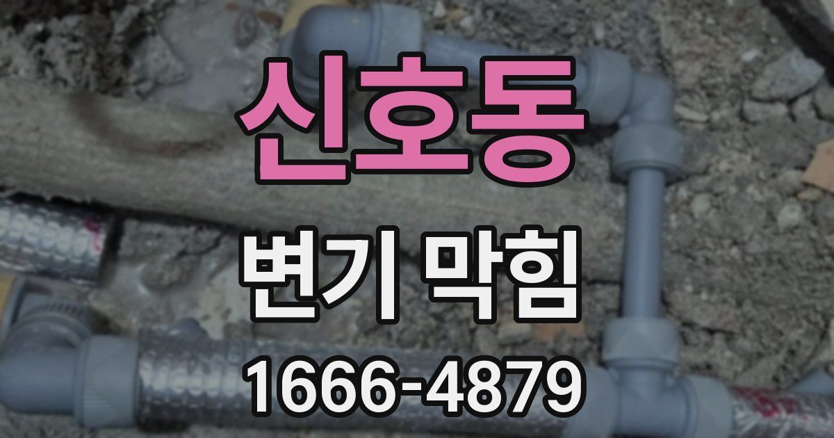 신호동 변기 막힘