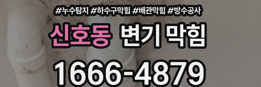 신호동 변기 막힘
