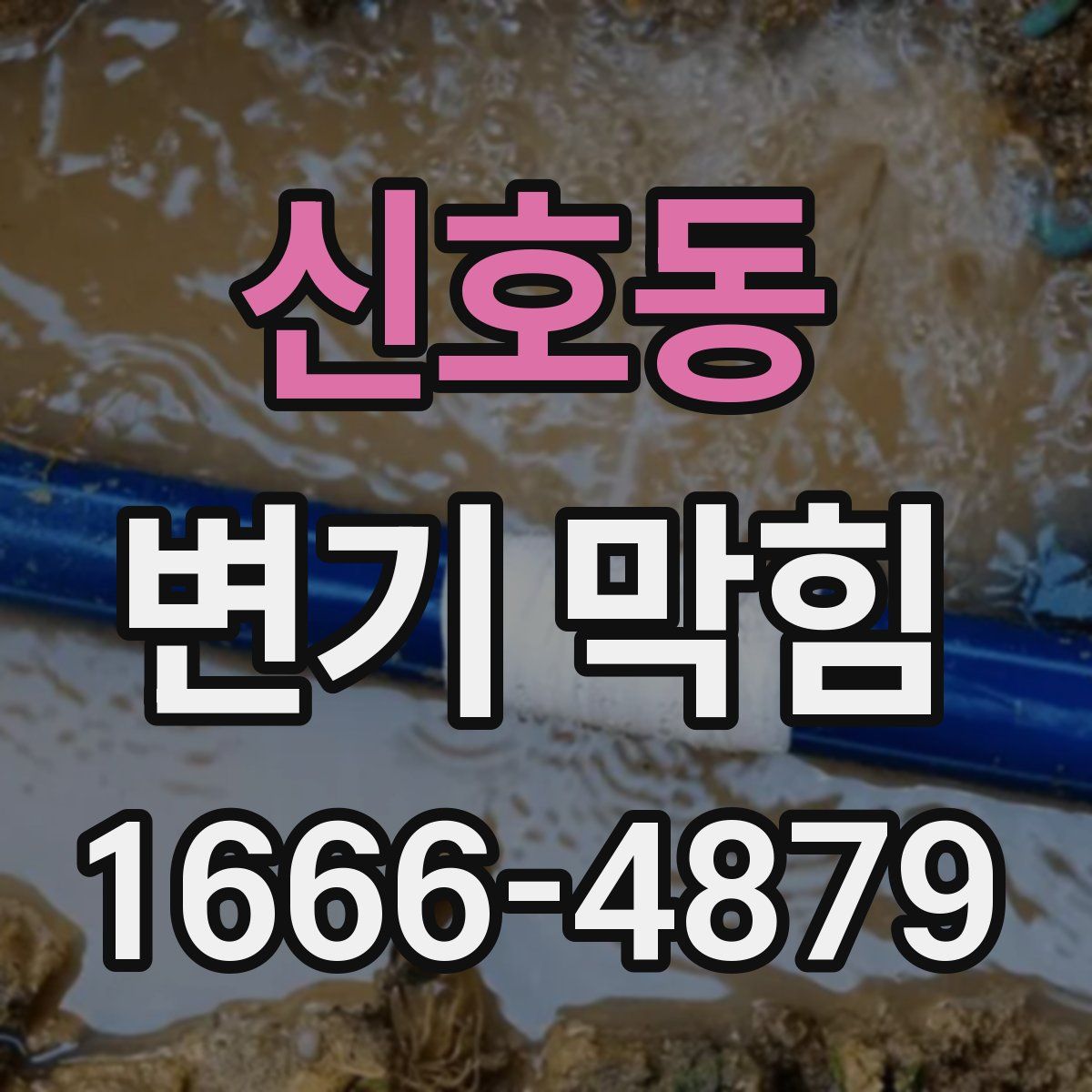 신호동 변기 막힘