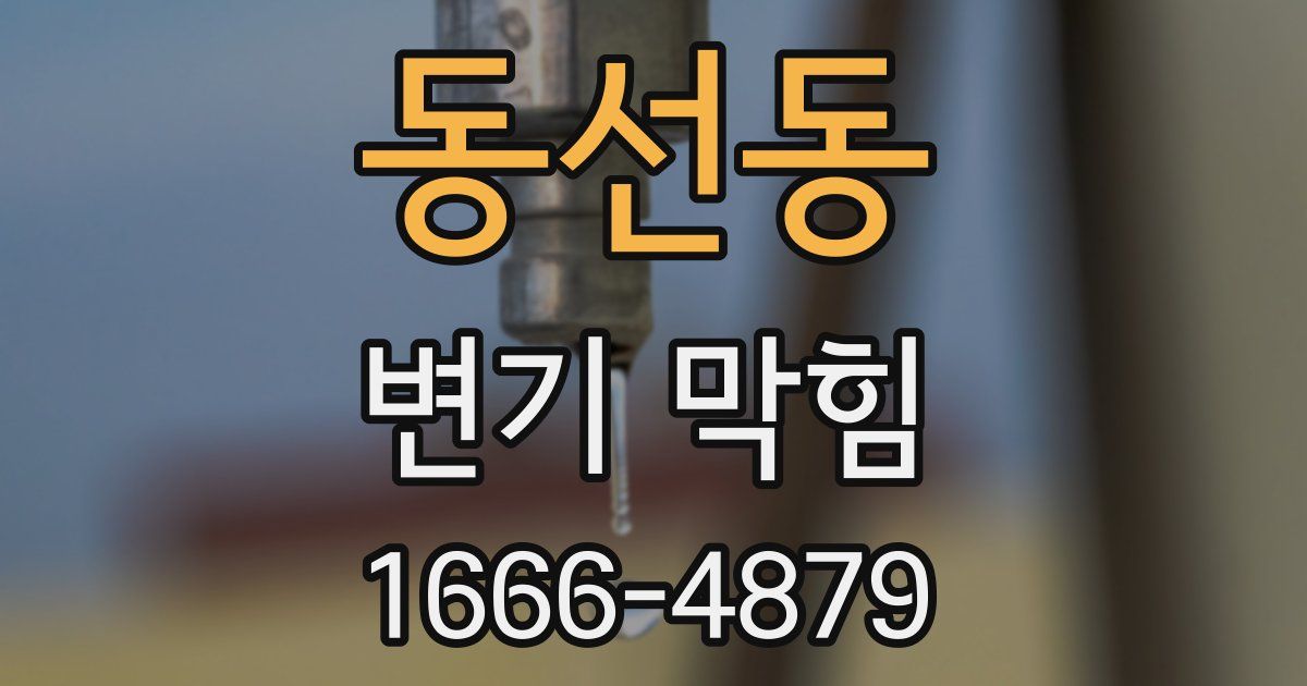 동선동 변기 막힘