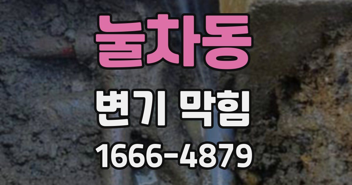 눌차동 변기 막힘