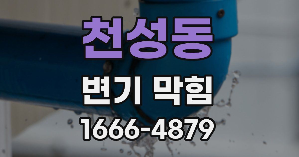 천성동 변기 막힘