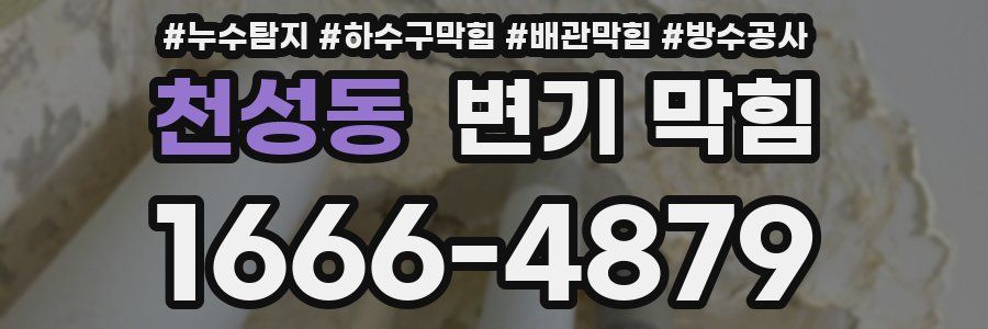 천성동 변기 막힘