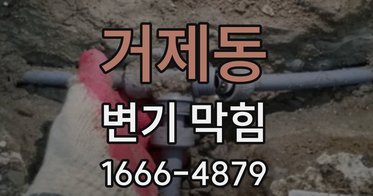 거제동 변기 막힘
