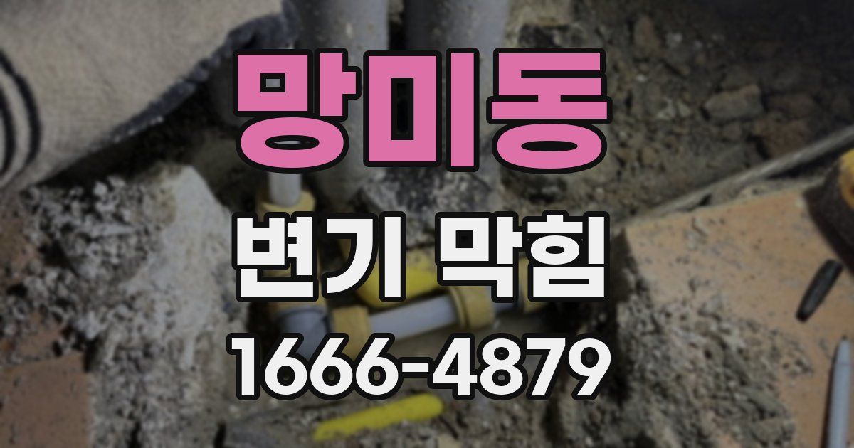 망미동 변기 막힘