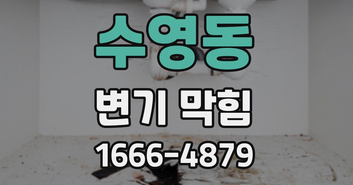 수영동 변기 막힘
