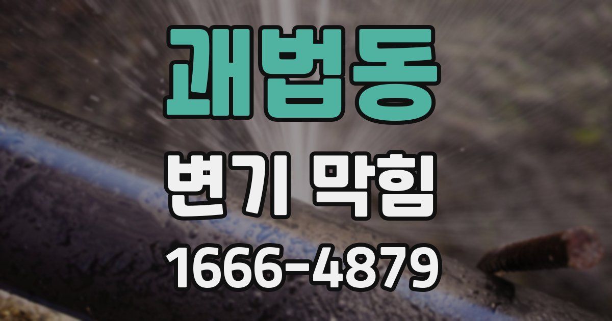 괘법동 변기 막힘