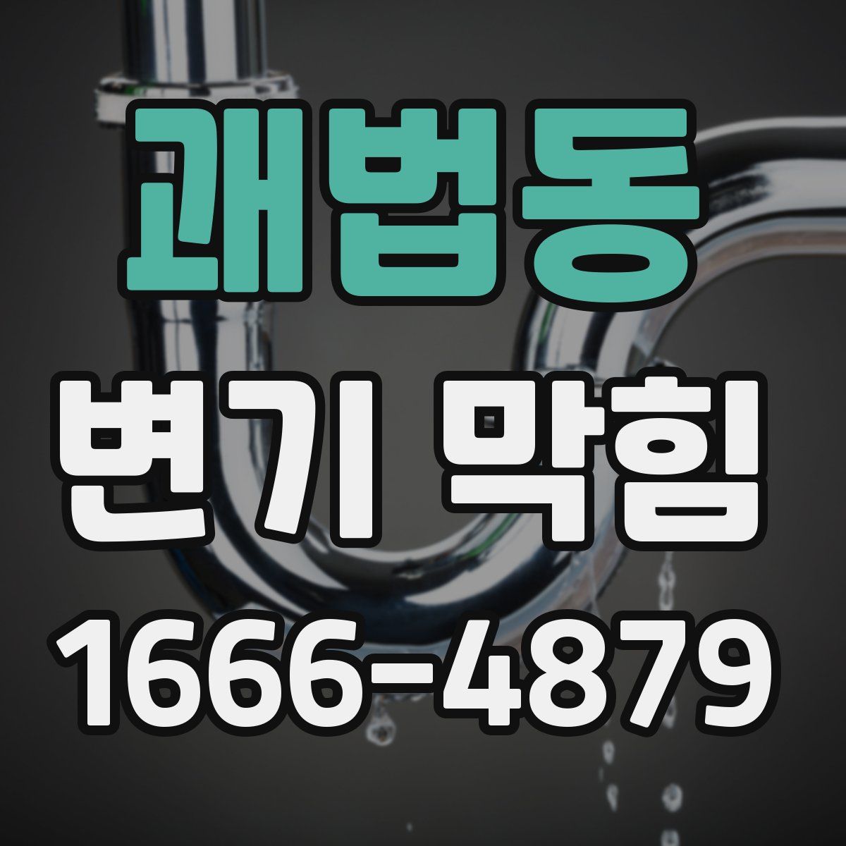 괘법동 변기 막힘