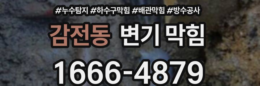 감전동 변기 막힘