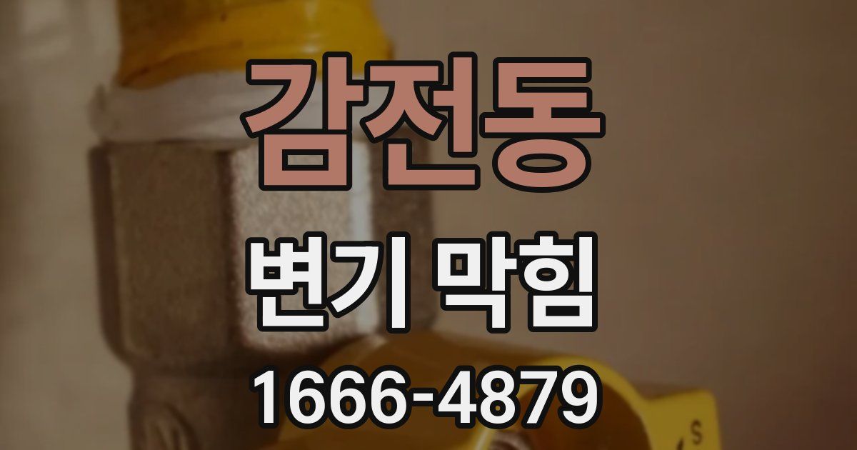 감전동 변기 막힘