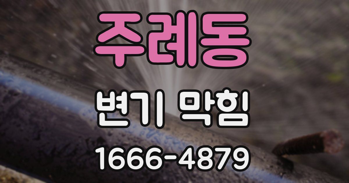주례동 변기 막힘
