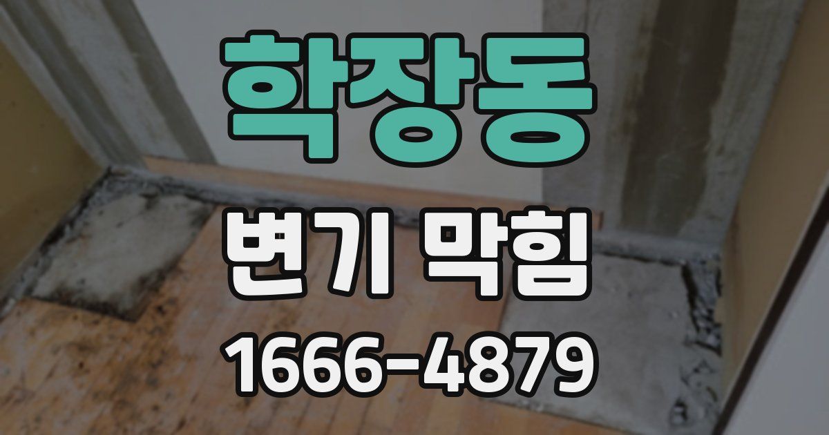 학장동 변기 막힘