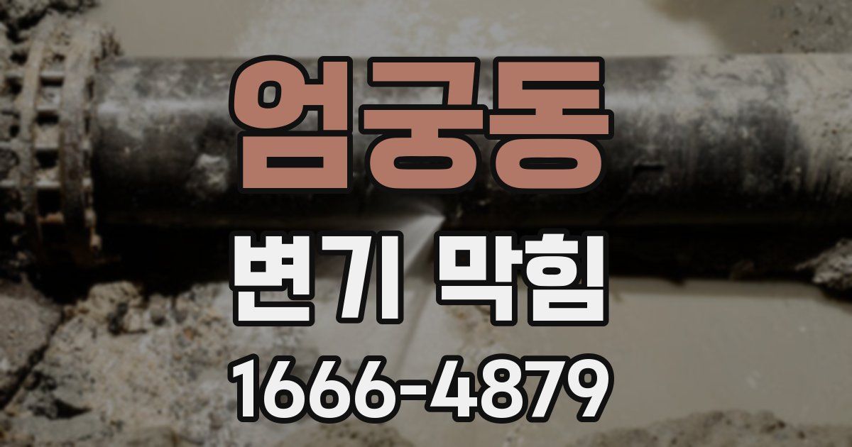 엄궁동 변기 막힘