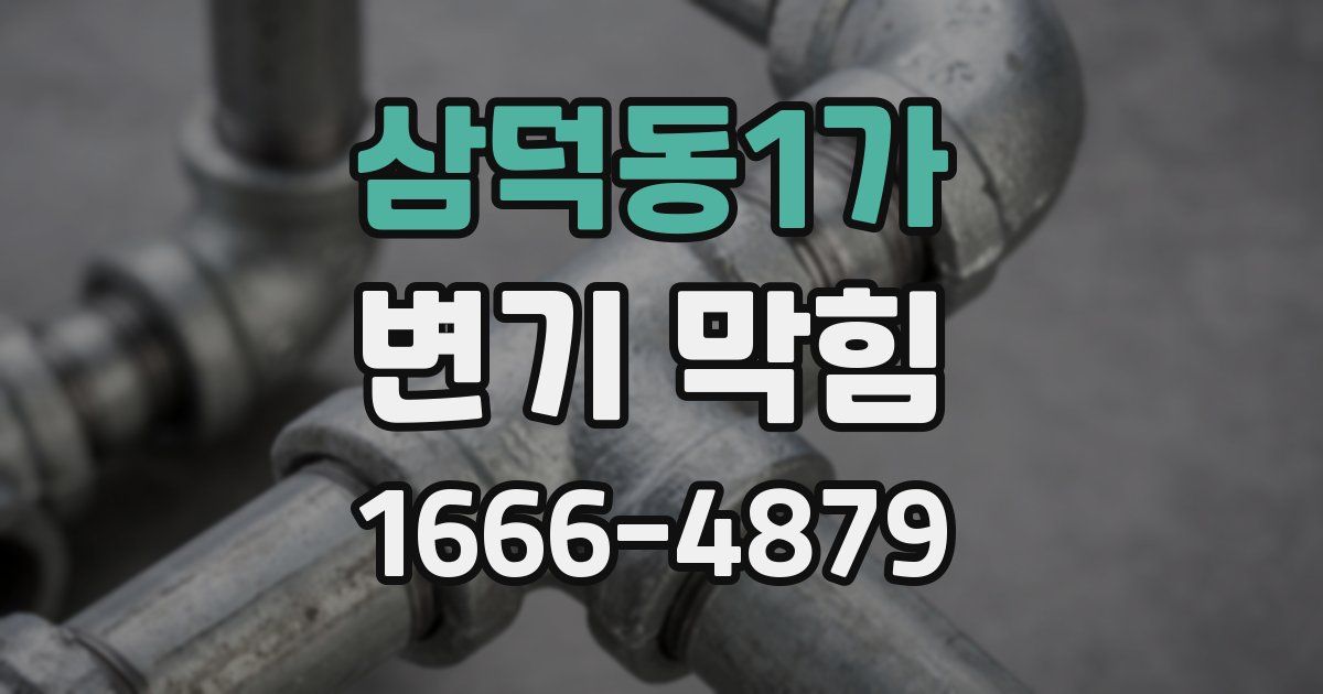 삼덕동1가 변기 막힘
