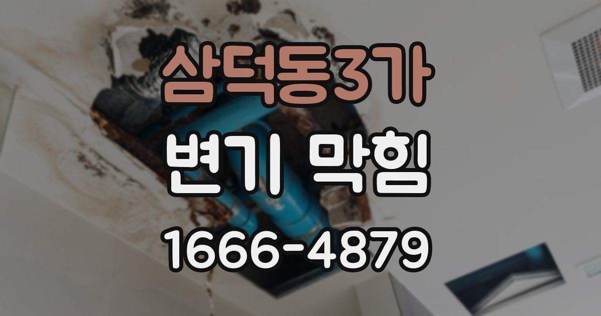 삼덕동3가 변기 막힘