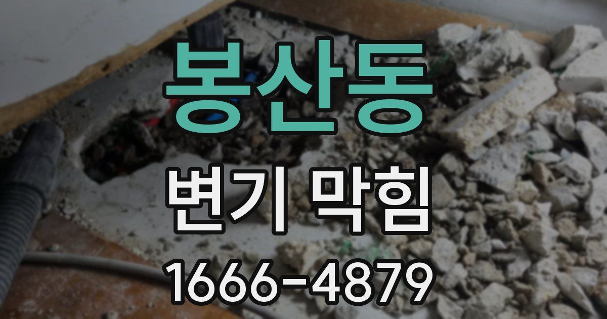 봉산동 변기 막힘