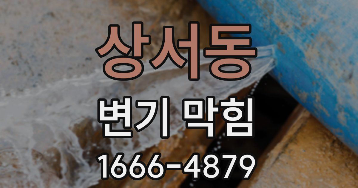 상서동 변기 막힘