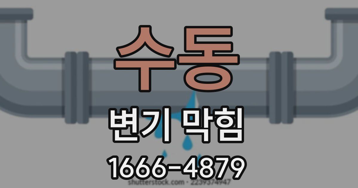 수동 변기 막힘