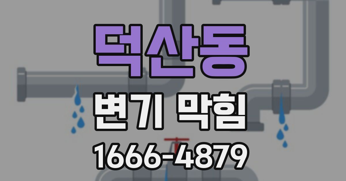 덕산동 변기 막힘
