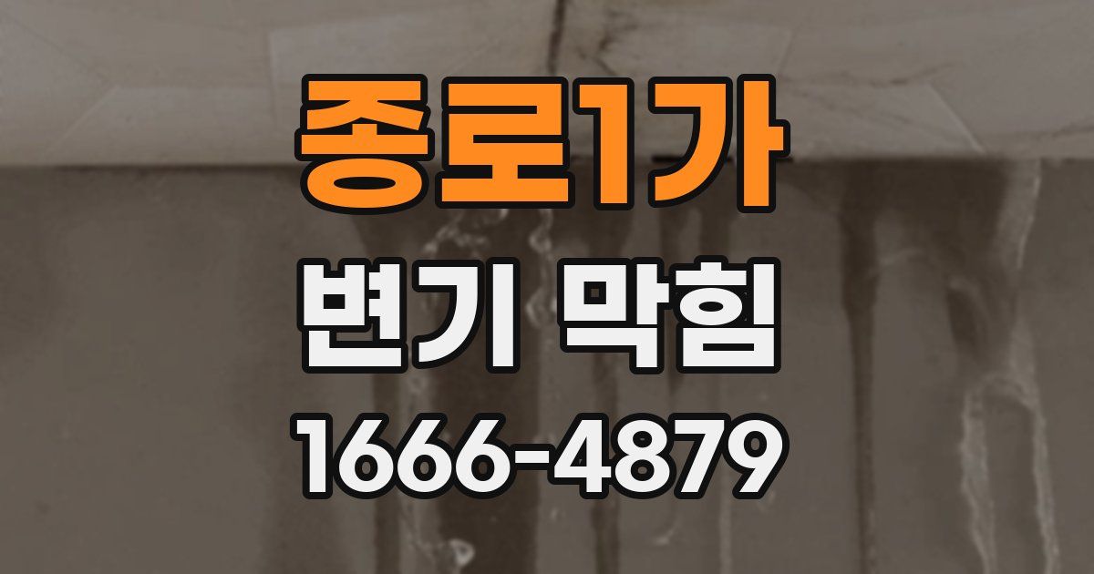 종로1가 변기 막힘