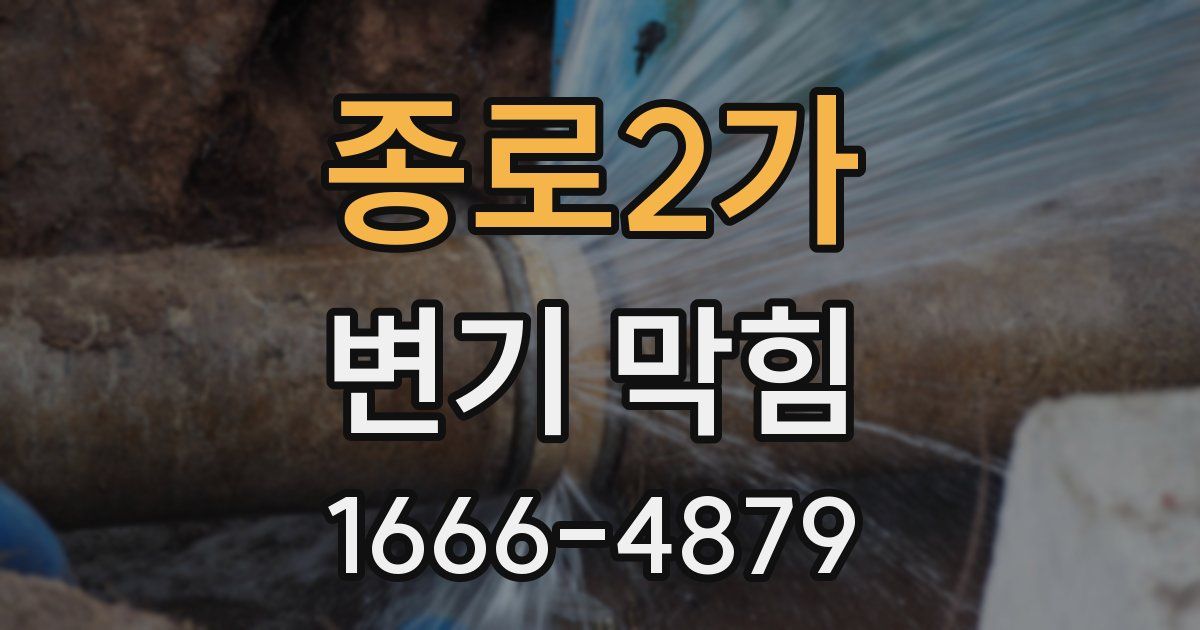 종로2가 변기 막힘