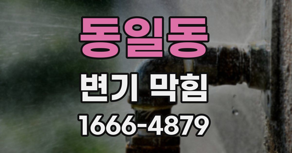 동일동 변기 막힘