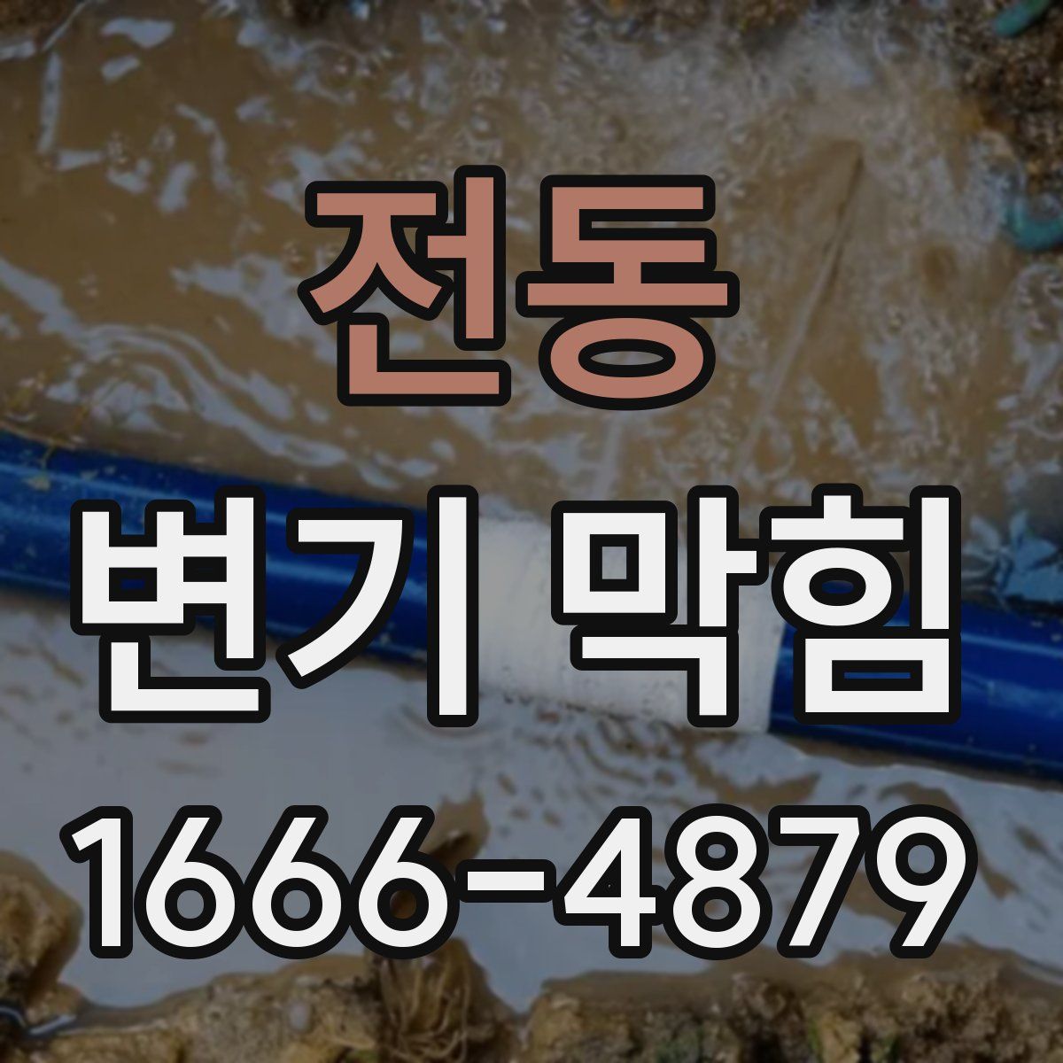 전동 변기 막힘