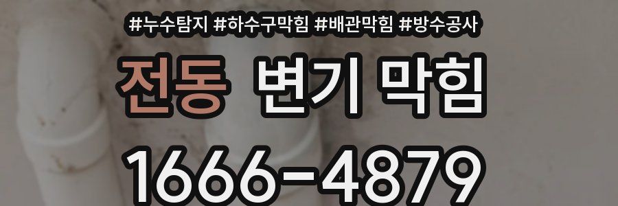 전동 변기 막힘