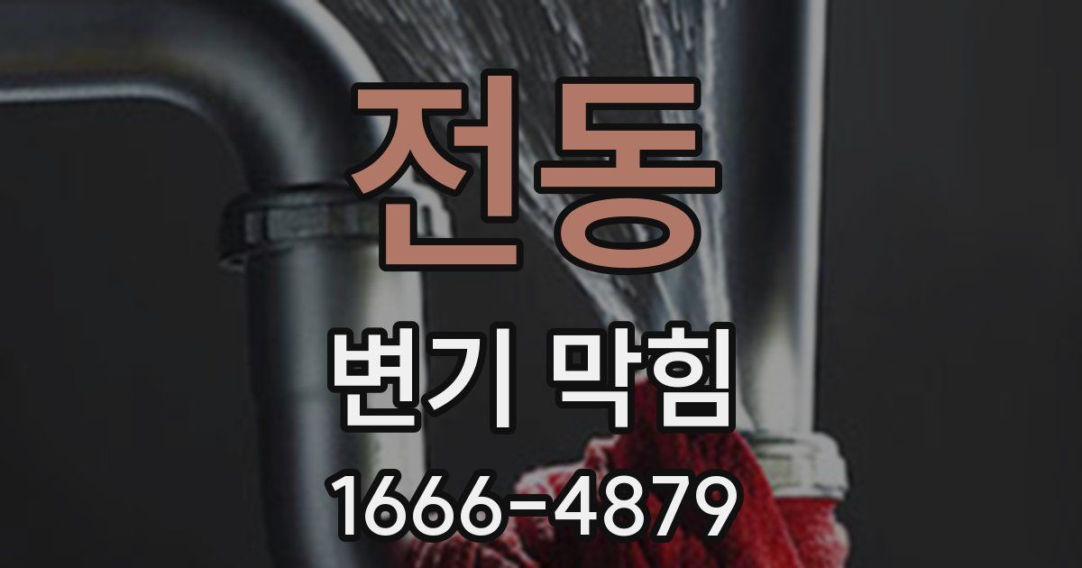 전동 변기 막힘