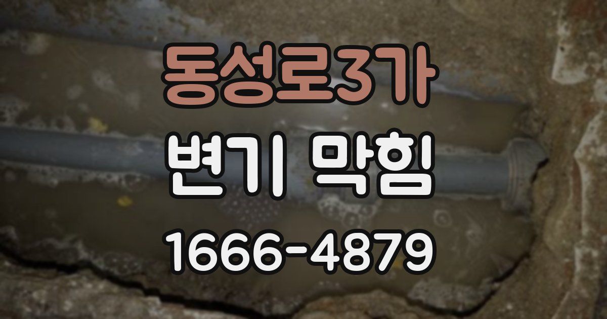 동성로3가 변기 막힘